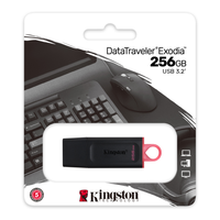 Kingston DataTraveler Exodia - Unidad Flash USB, 256GB