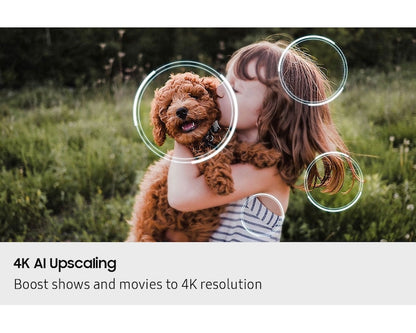 Neo QLED QN80F 4K Samsung Vision AI Smart TV (2025)