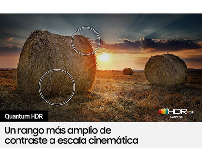 55" QLED 4K Q65B Smart TV